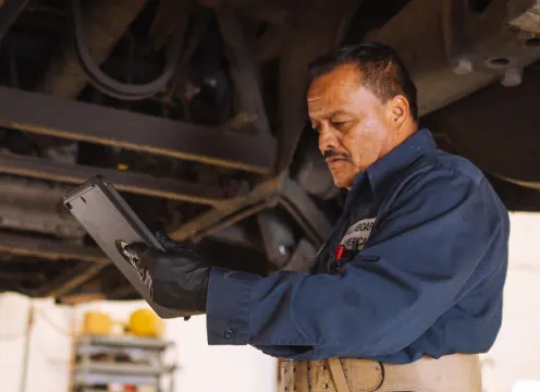 Maintenance & IT: